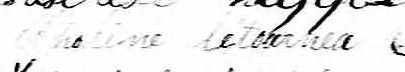 Signature d'Apoline Letourneau: premier février 1848 Signature d'Apoline Letourneau: premier février 1848