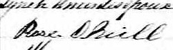 Signature de Rose O'Neill: 29 janvier 1861 Signature de Rose O'Neill: 29 janvier 1861
