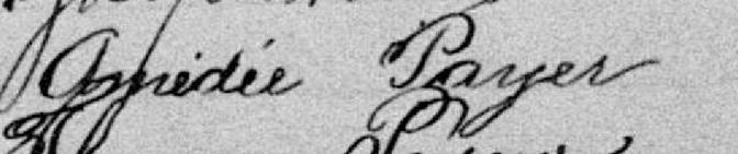 Signature de Amédée Payer: premier décembre 1893 Signature de Amédée Payer: premier décembre 1893