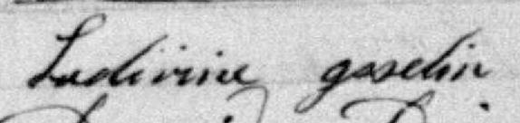 Signature de Ludivinie Goselin: 14 décembre 1878 Signature de Ludivinie Goselin: 14 décembre 1878