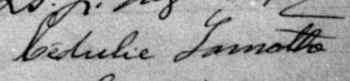 Signature de Cédulie Lamothe: 30 octobre 1896 Signature de Cédulie Lamothe: 30 octobre 1896
