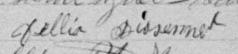 Signature de Dellia Bissonnet: 10 mars 1896 Signature de Dellia Bissonnet: 10 mars 1896