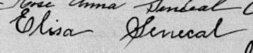 Signature de Elisa Senecal: 23 février 1886 Signature de Elisa Senecal: 23 février 1886